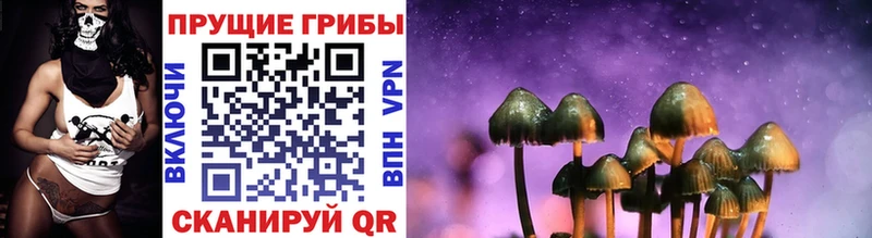 Псилоцибиновые грибы прущие грибы  Рузаевка 
